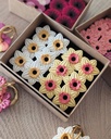 Box Du Printemps - Box Spring