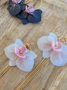 Créoles Orchidée