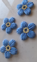 Pampilles Myosotis